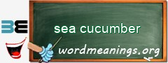 WordMeaning blackboard for sea cucumber